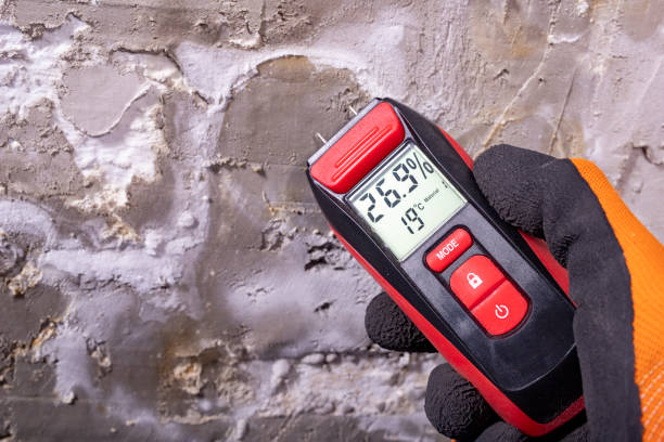 Best Affordable Mold Removal  in Hudson Falls, NY