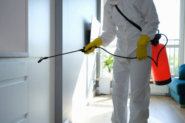 Best Toxic Mold Removal  in Hudson Falls, NY