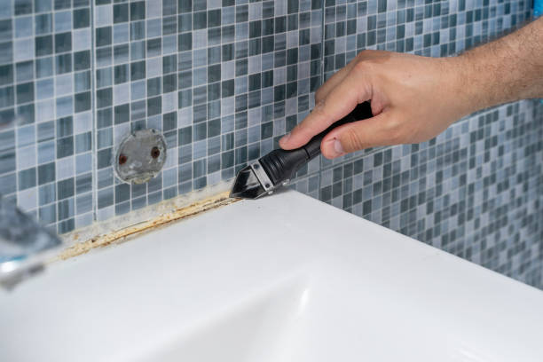 Best Mold Damage Repair  in Hudson Falls, NY